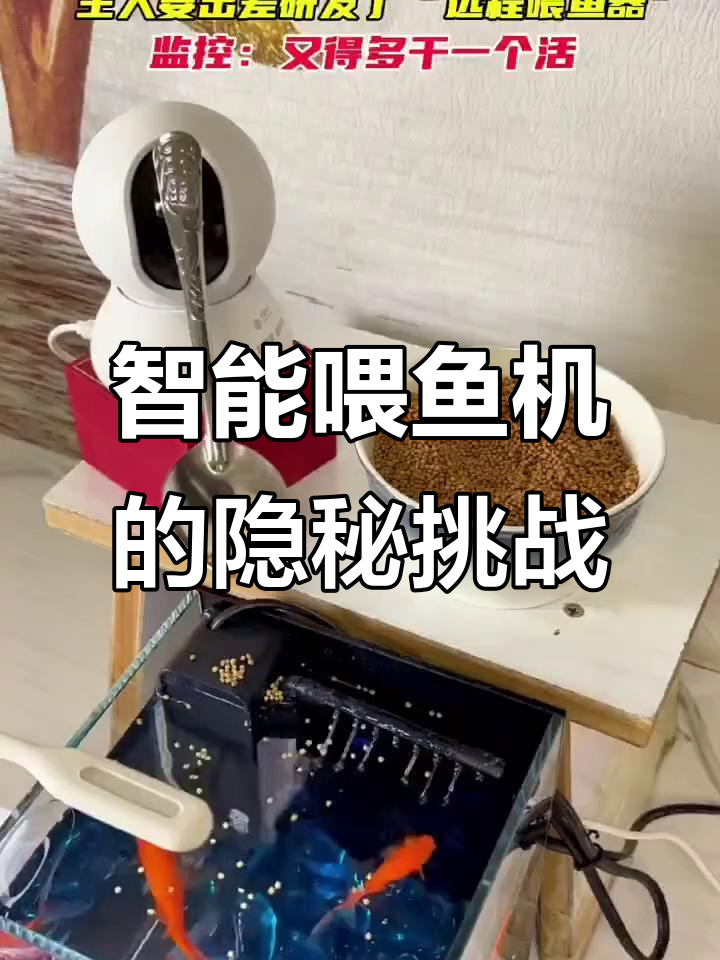 自动喂鱼机创意十足,监控却成了“必备”