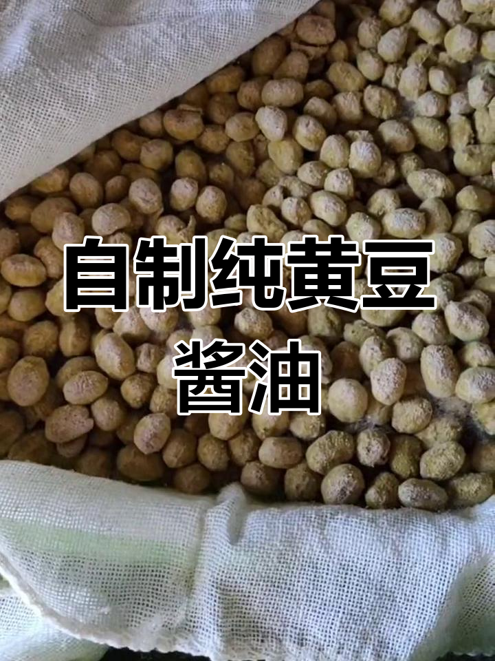 四季在家做纯黄豆酱油,无添加剂更放心