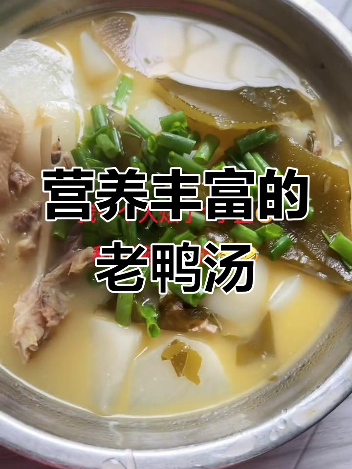 老鸭汤的营养益处