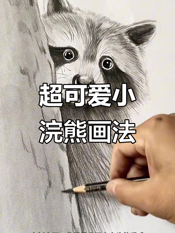 画出超萌小浣熊,步骤简单又有趣