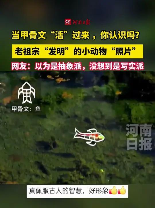 瞧!晨曦中跳跃的小鹿、溪流间摆尾的鱼、沙地上慢行的龟,以及草丛间扑腾的兔……这些鲜活生灵的