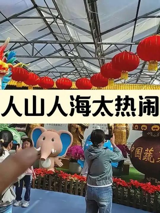 寿光菜博会6号馆 菜博会现场全是人，个个馆每个都有惊喜。你负责看，我负责帮你挤到最值得拍的