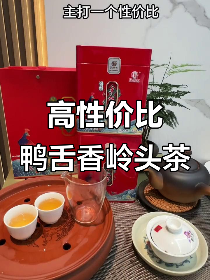 鸭舌香领头单丛茶:性价比高,金黄透亮,味浓回甘