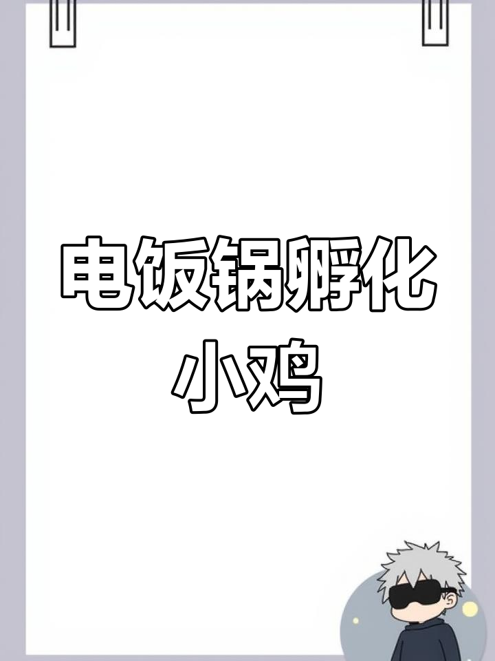 用电饭锅成功孵出小鸡,教程分享