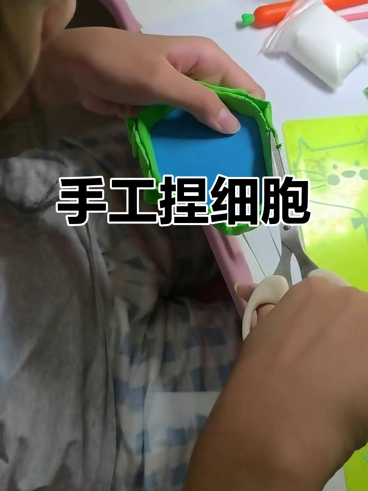 用橡皮泥徒手捏细胞，简单又有趣！