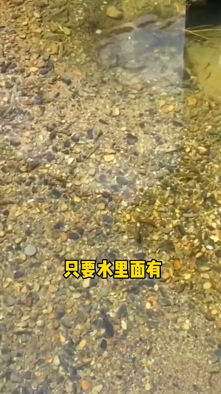 溪流钓用什么饵料