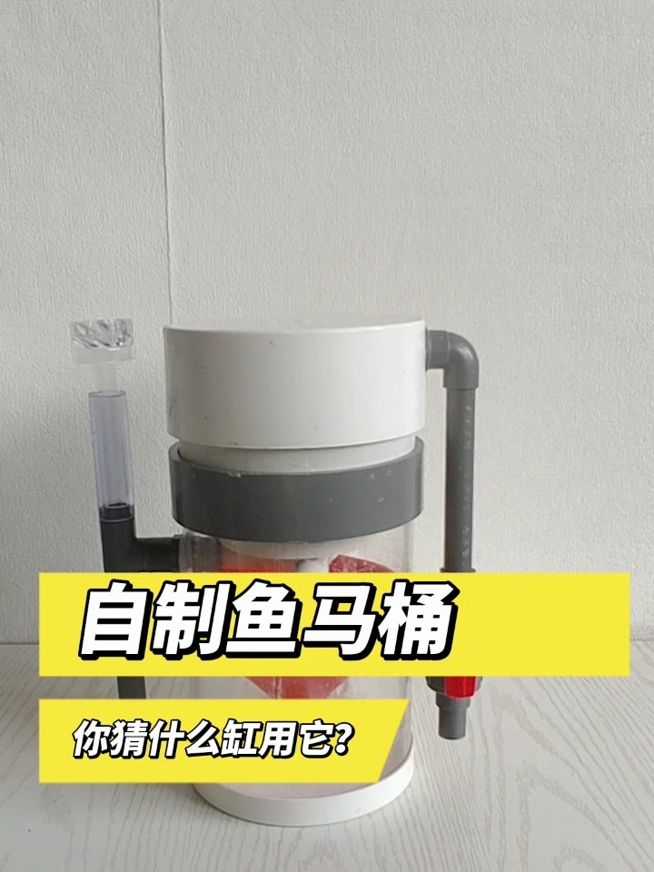 手把手教你做鱼马桶