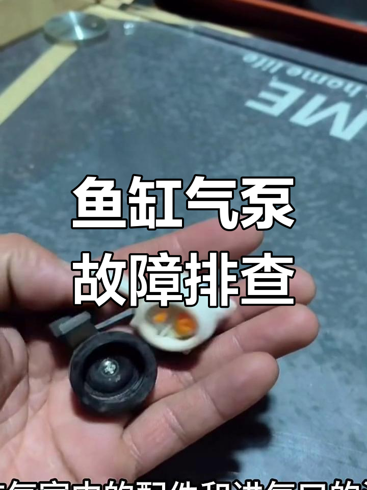 气泵不出气?三步解决鱼缸打气问题