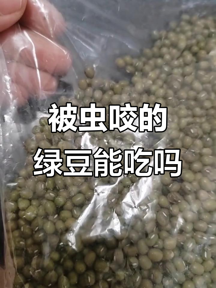 绿豆被虫子钻洞,还能吃吗?