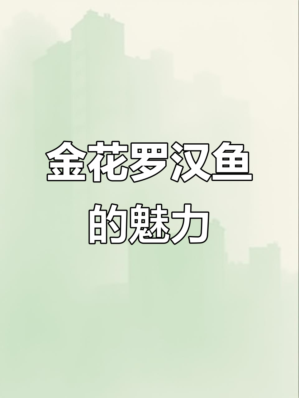 泰国金花罗汉鱼:神秘美丽的观赏鱼类