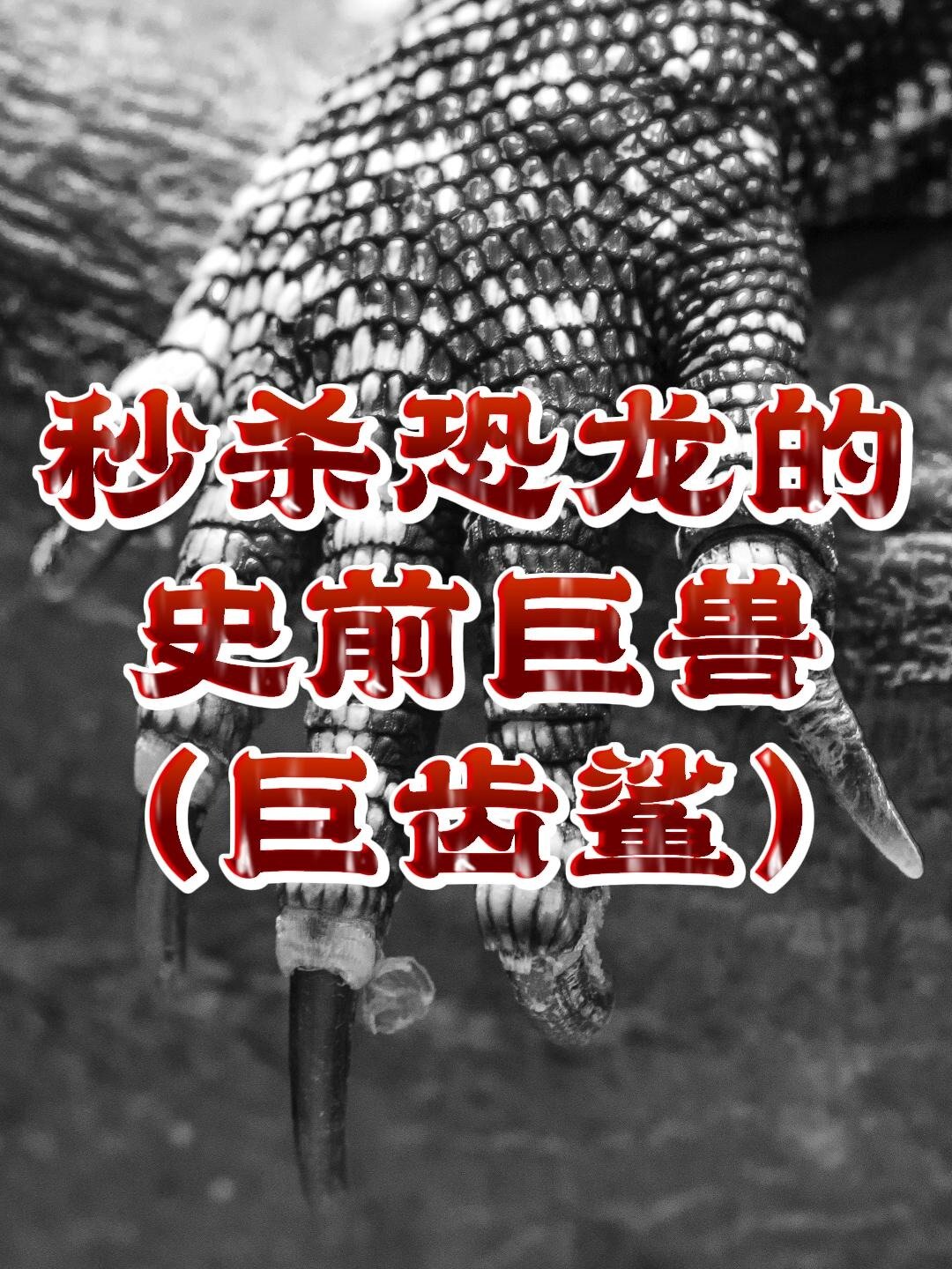 巨齿鲨咬合力比霸王龙还要厉害!