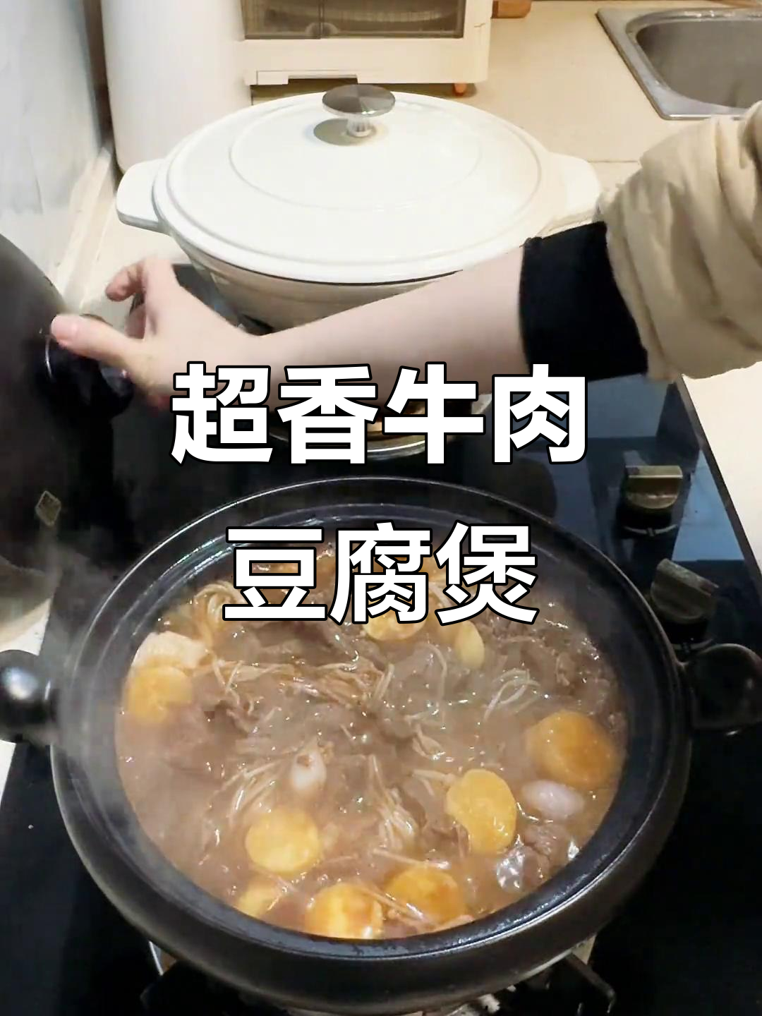 牛肉豆腐煲,香气扑鼻!快手家常美味