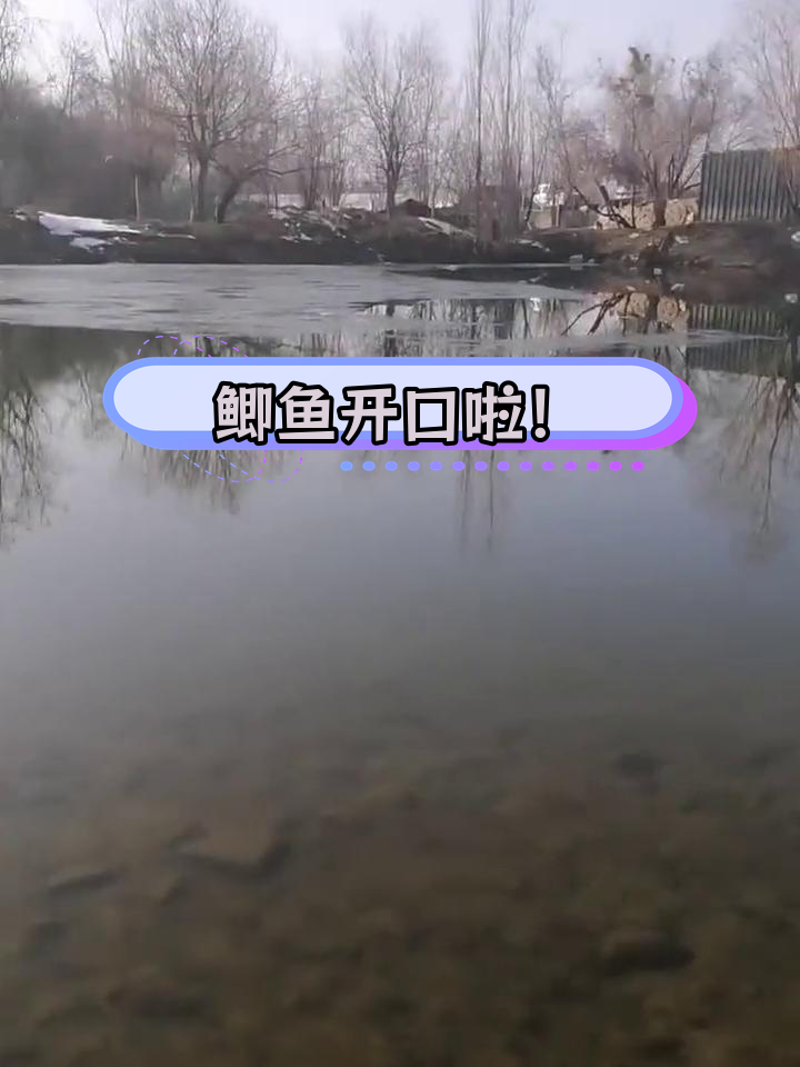 伊犁河南岸钓场鲫鱼活跃,钓鱼乐趣满满