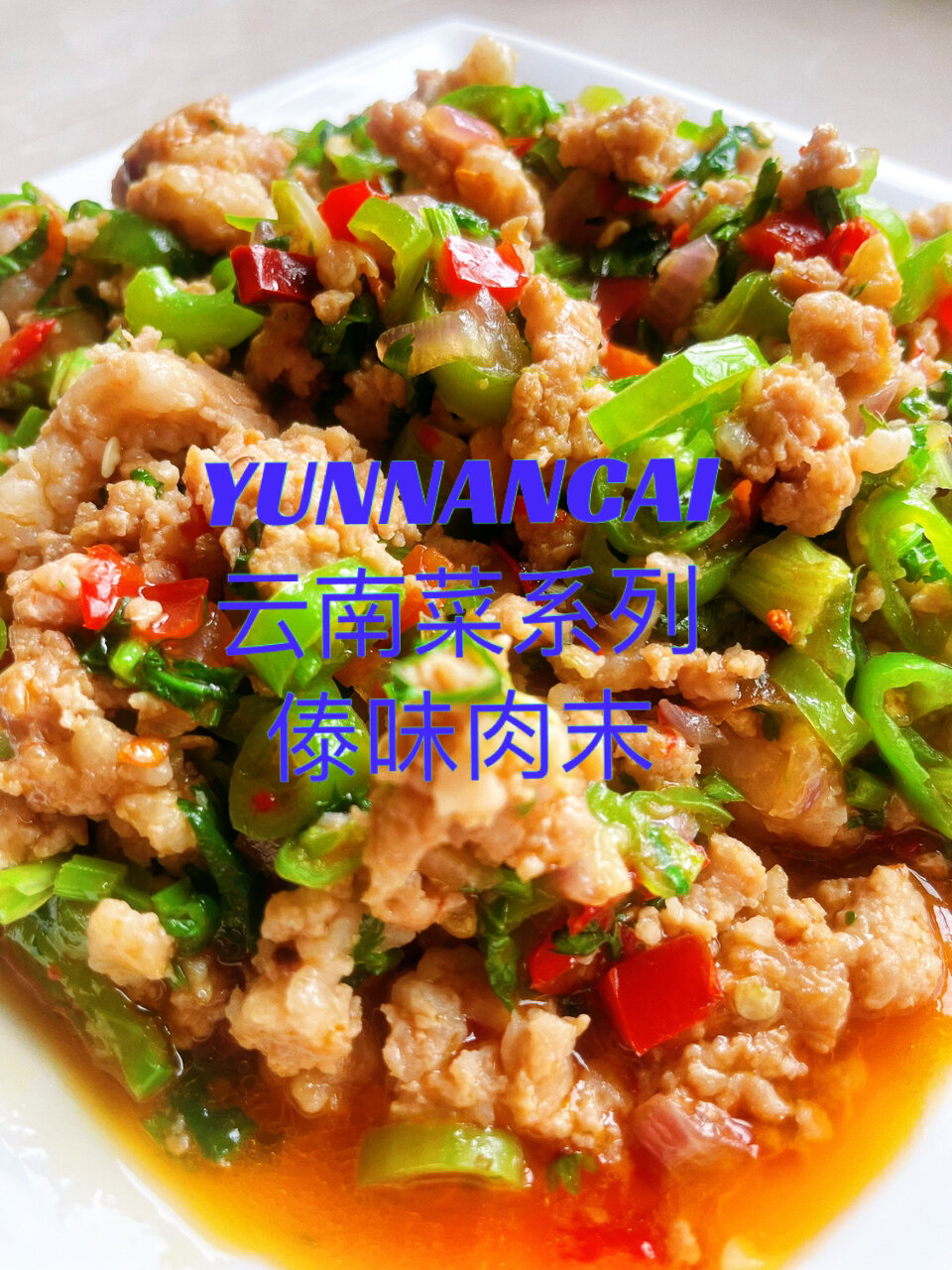 云南家常菜做法-傣味肉末