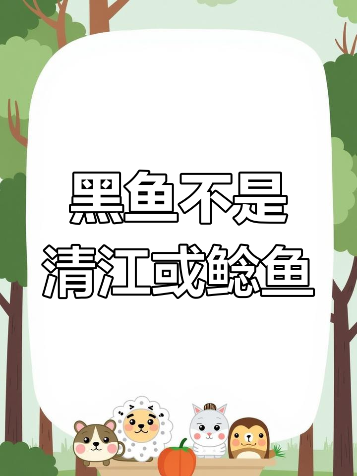 黑鱼与清江、鲶鱼的真相,口感和做法大不同