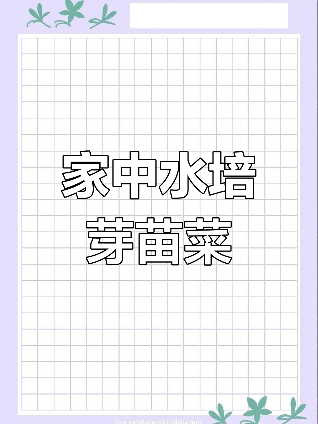 冬季火锅必备,教你轻松在家种植芽苗菜