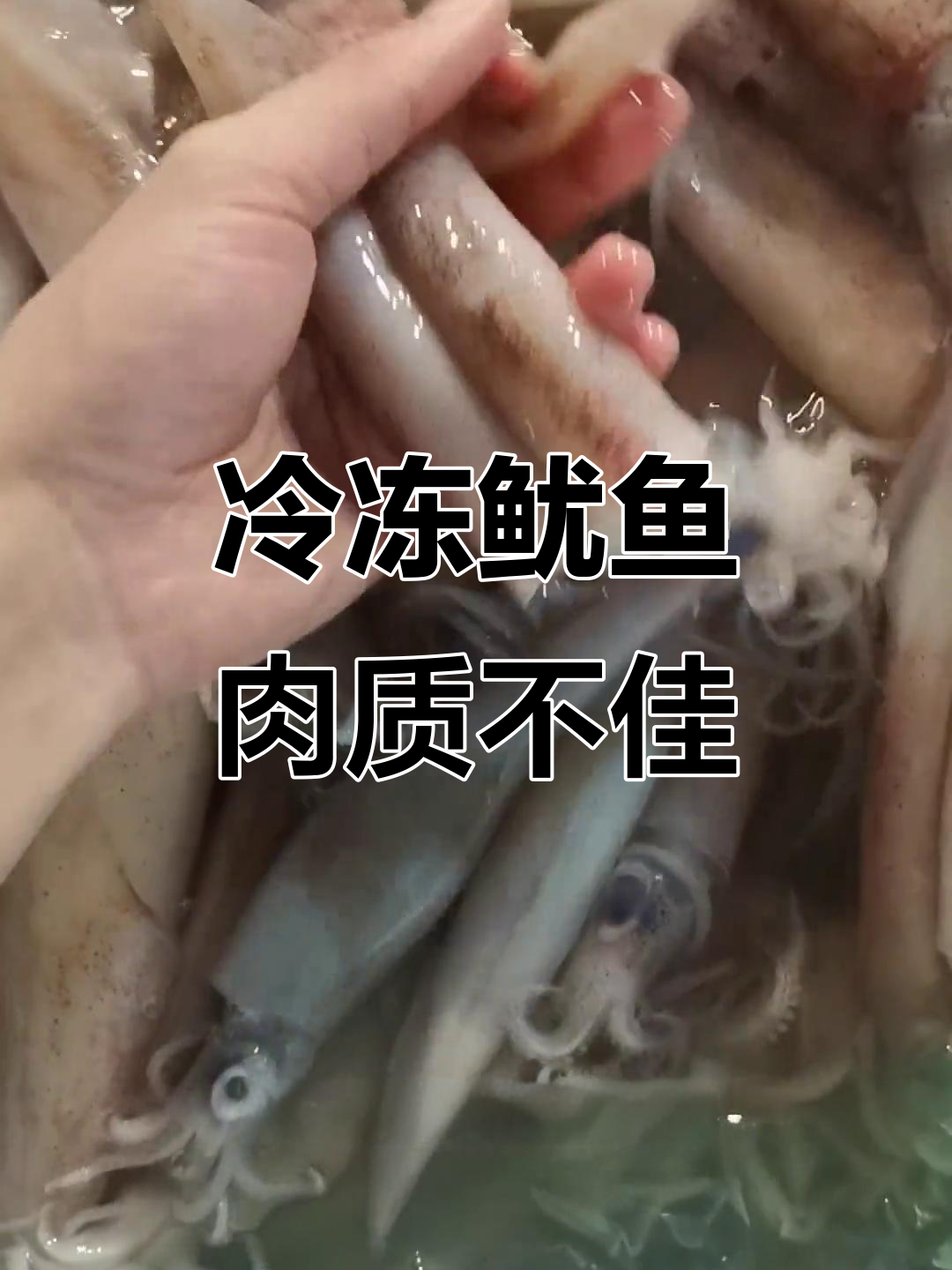 冰冻鱿鱼鲜度差,爆炒才好吃