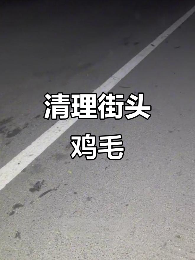 路上鸡毛乱飞，埋掉它们让环境更清洁！