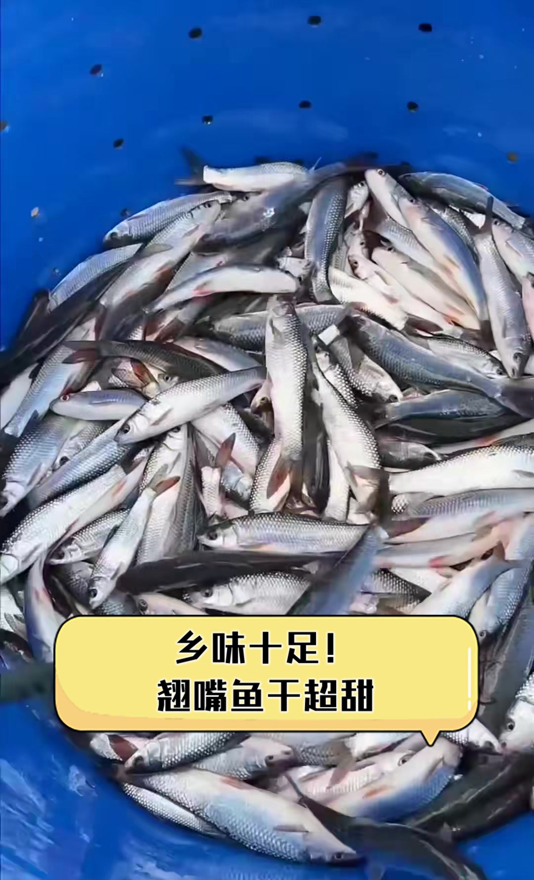 乡味十足!翘嘴鱼干超甜