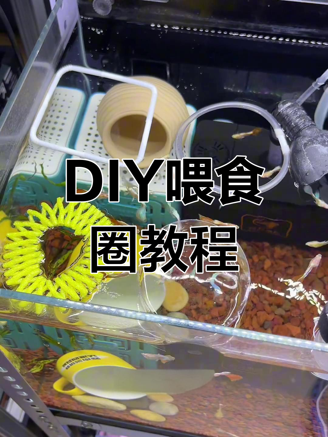零成本做喂食圈,简单又实用!