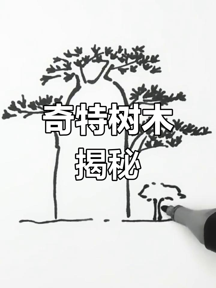 你见过这种奇特的树吗?
