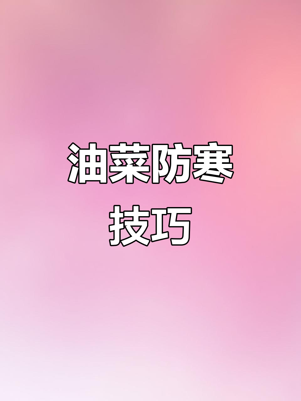 今年冬季气温波动大,油菜种植如何应对低温冻害?