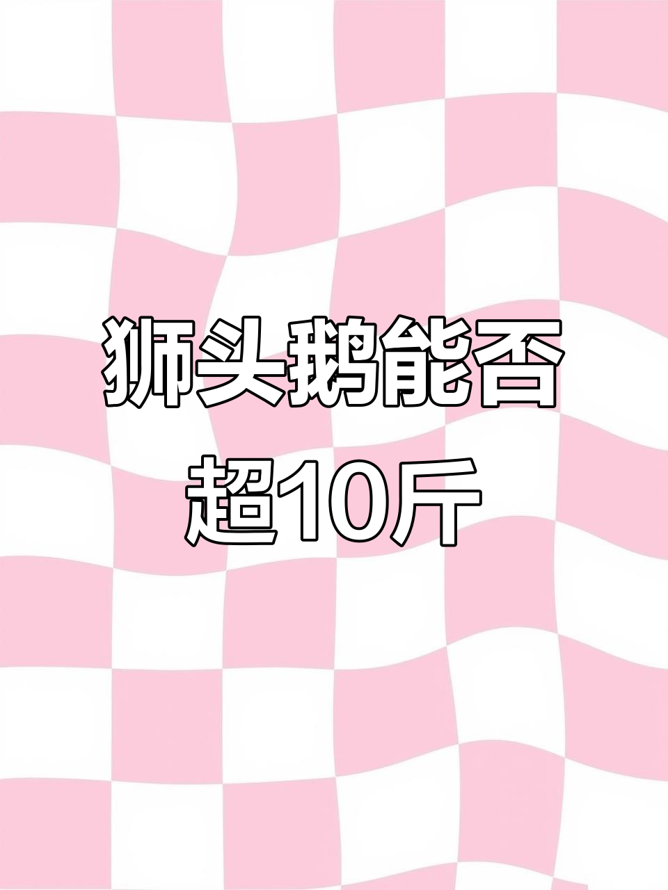 澄海狮头鹅苗能长到10斤吗?看这体型,真让人惊讶!