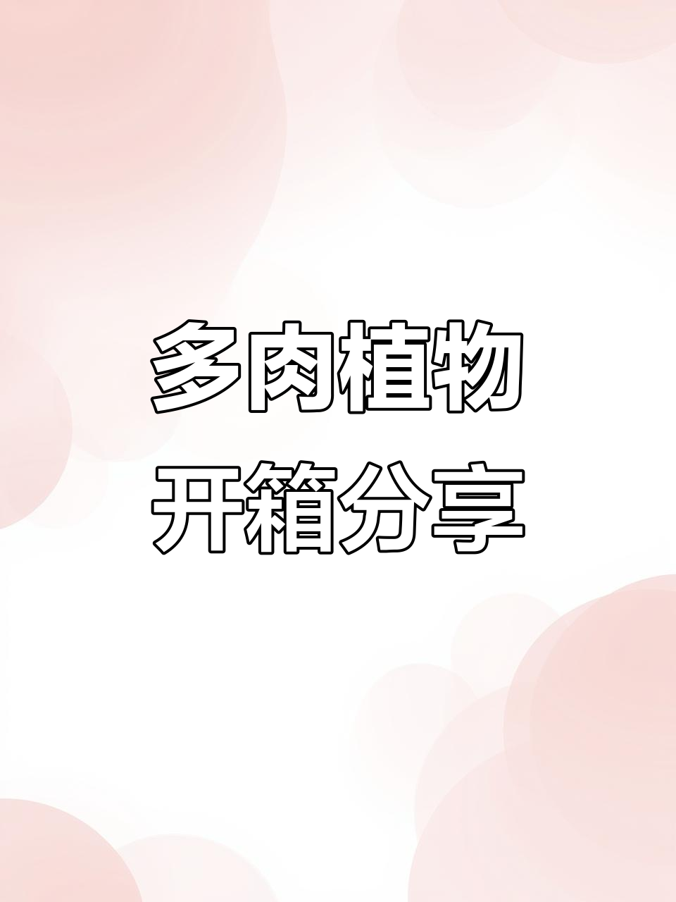 这两棵多肉植物太美了,超爱!