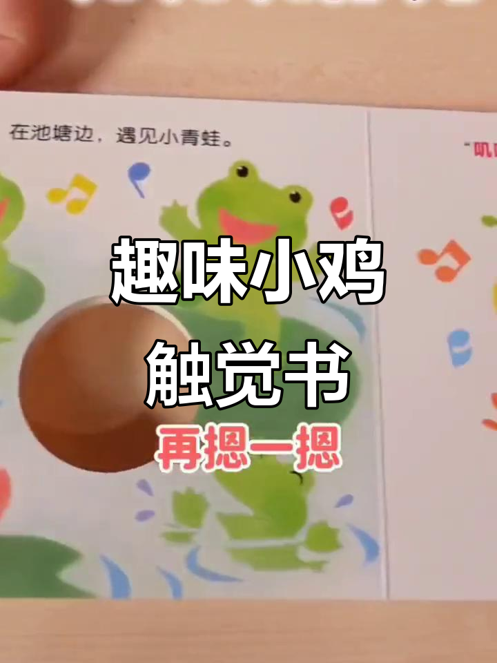 小鸡球球的触感大冒险,宝宝一起动手发现不同动物的特征