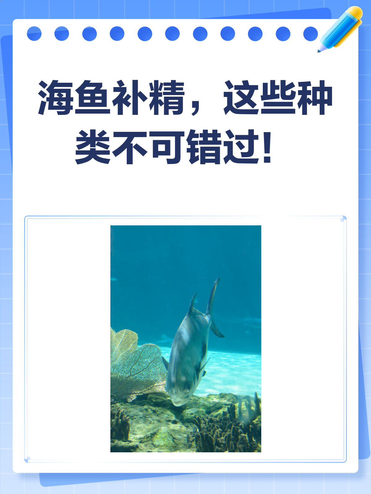 海鱼补精大揭秘!这些种类你一定要知道!