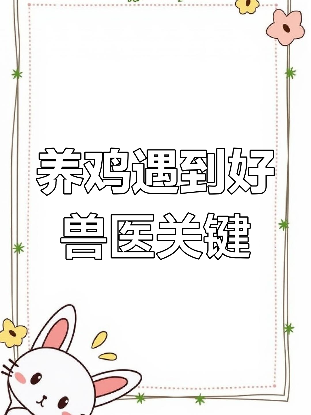 鸡胸病解剖分析:气囊炎与感冒症状解析