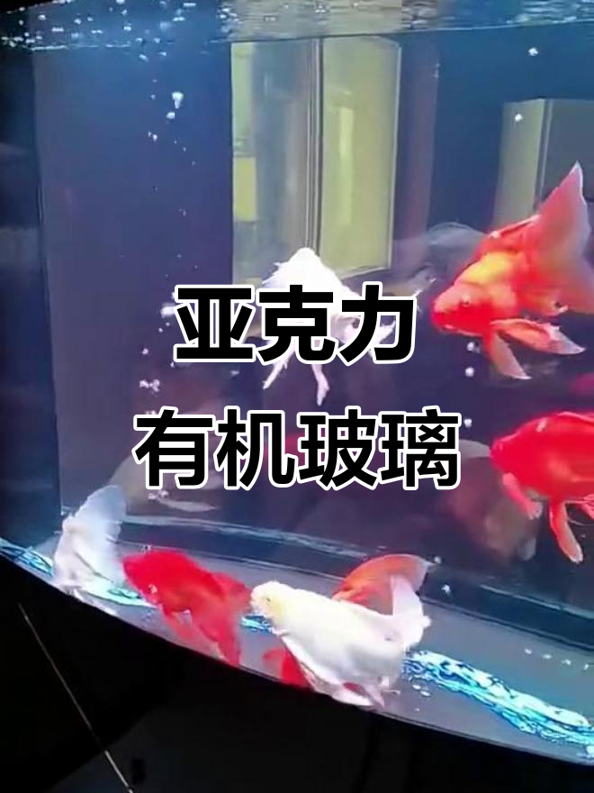 可丽爱LS-C系列亚克力有机玻璃:透明与美观的完美结合