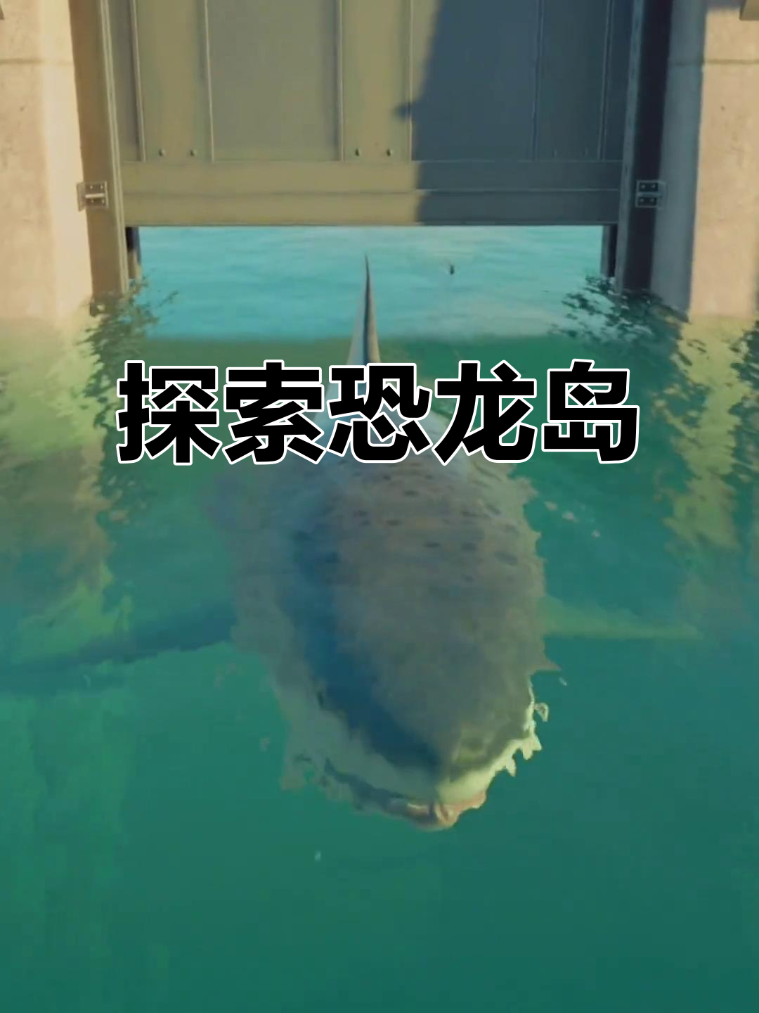 恐龙岛探险,探秘史前巨兽的神秘世界