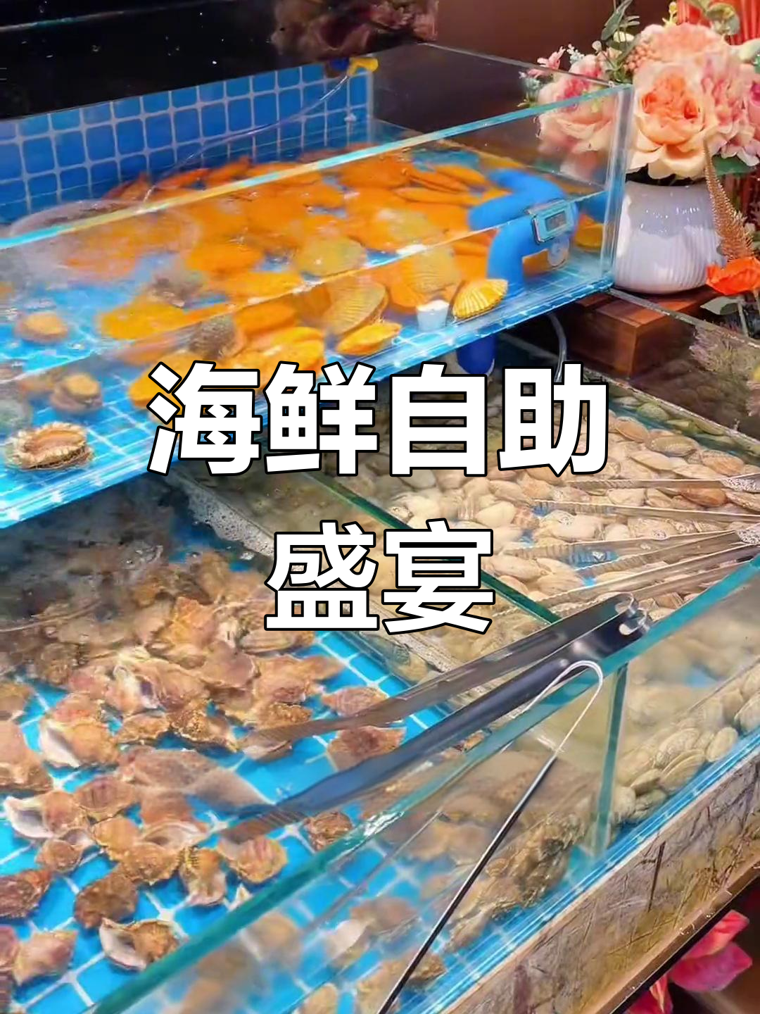 万达新店,海鲜火锅与烤肉双重享受,菜品丰富值得一试!