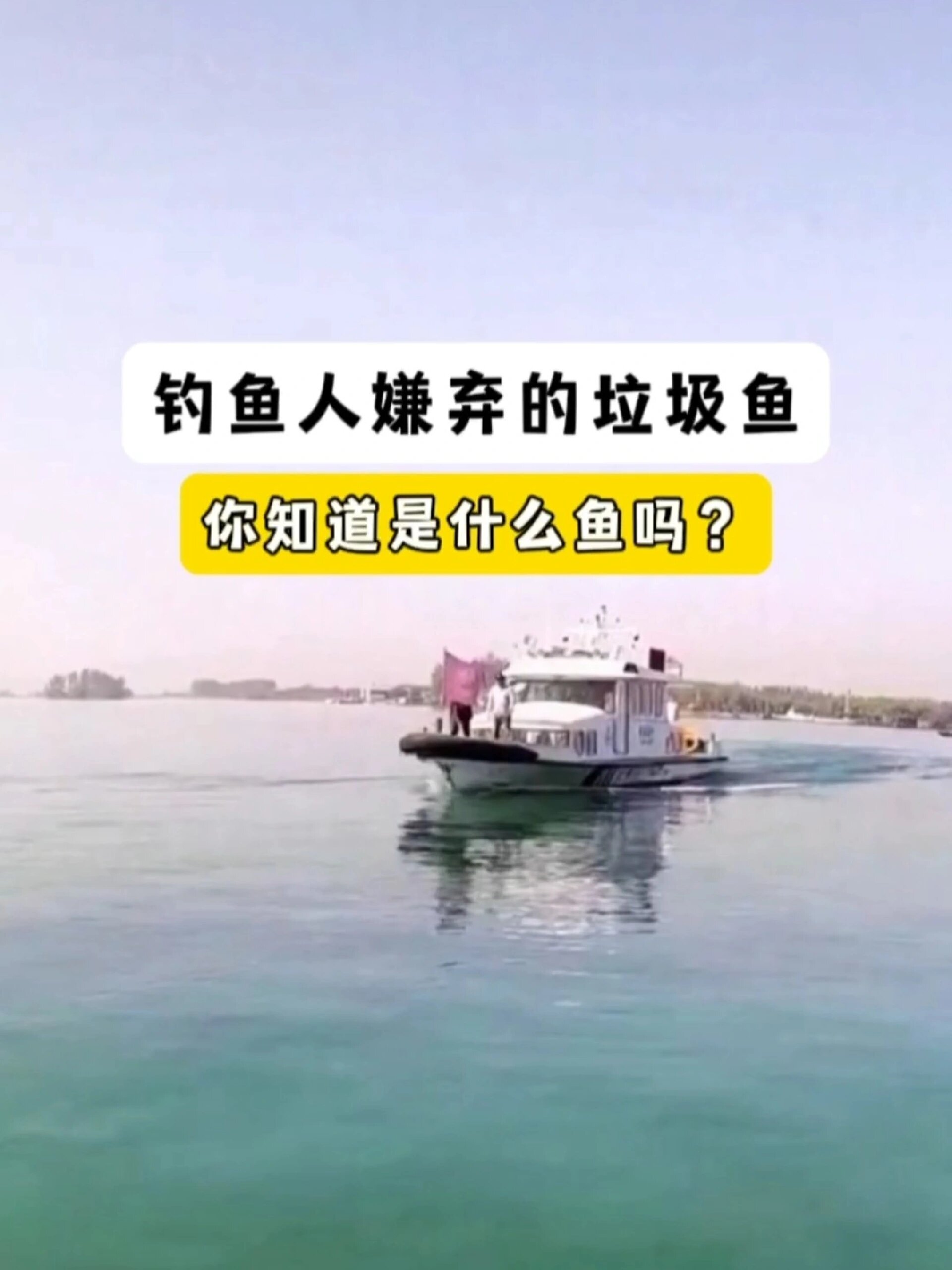 钓鱼人嫌弃的垃圾鱼,你知道是什么鱼吗?