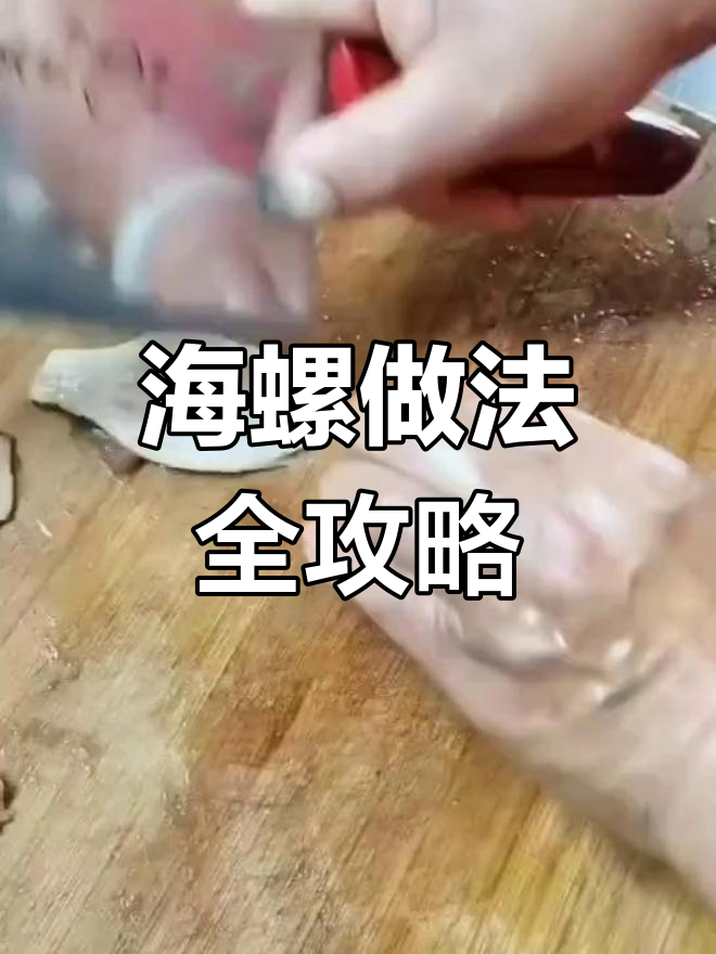 青岛民宿美食大揭秘:海螺、海老鼠炒韭菜,家常味十足
