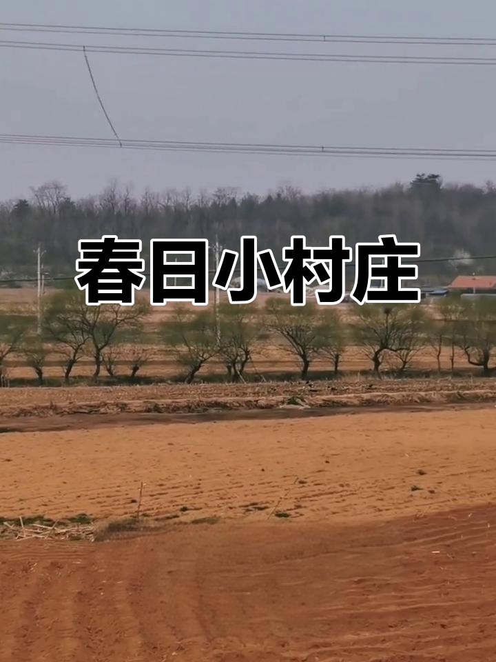 小宋屯,春意盎然,绿草如茵,生机勃勃