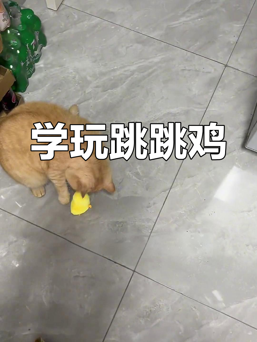跳跳鸡玩法大揭秘,轻松学会这个有趣的游戏
