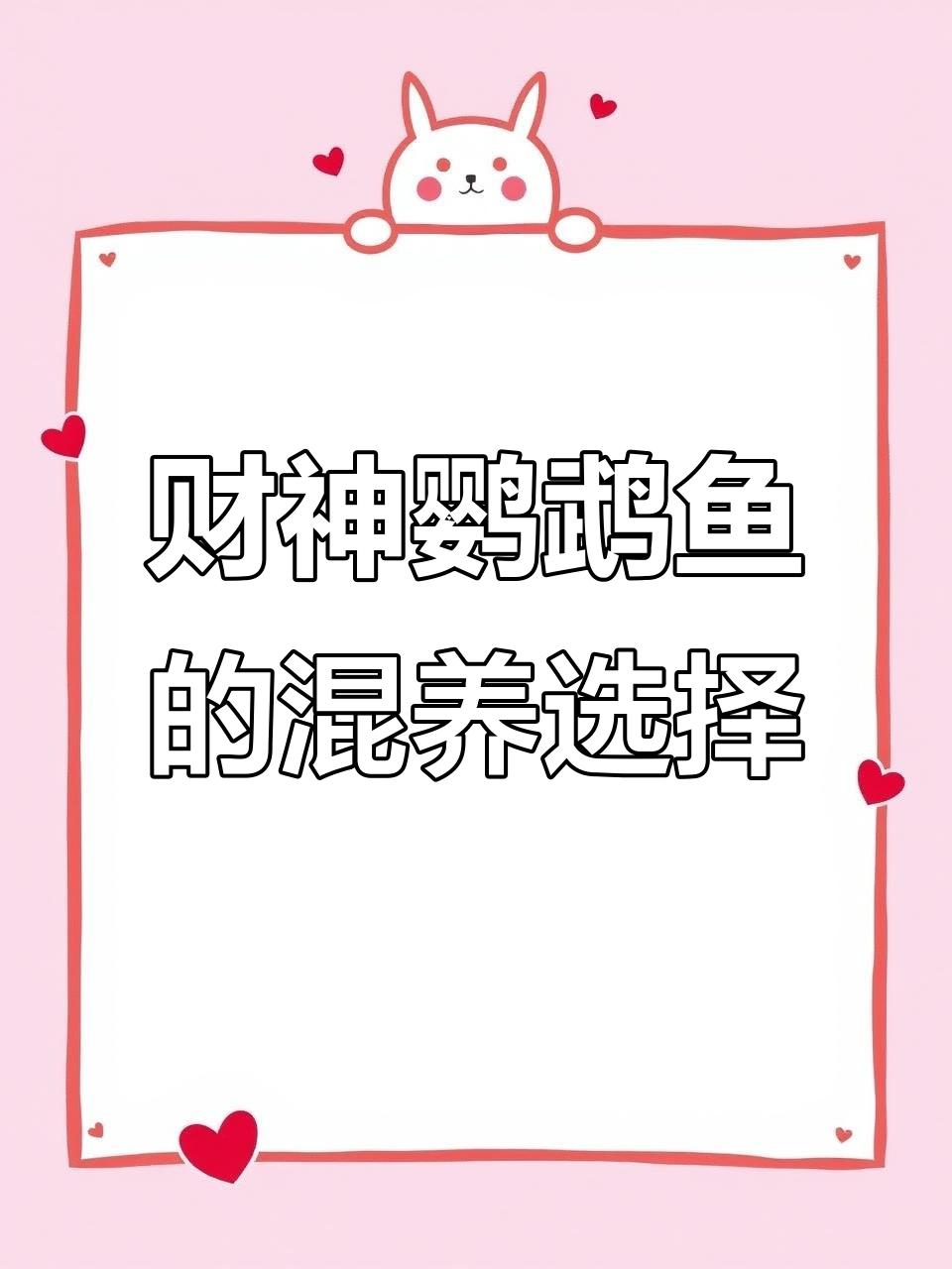 财神鹦鹉鱼与哪些鱼类混养最合适?