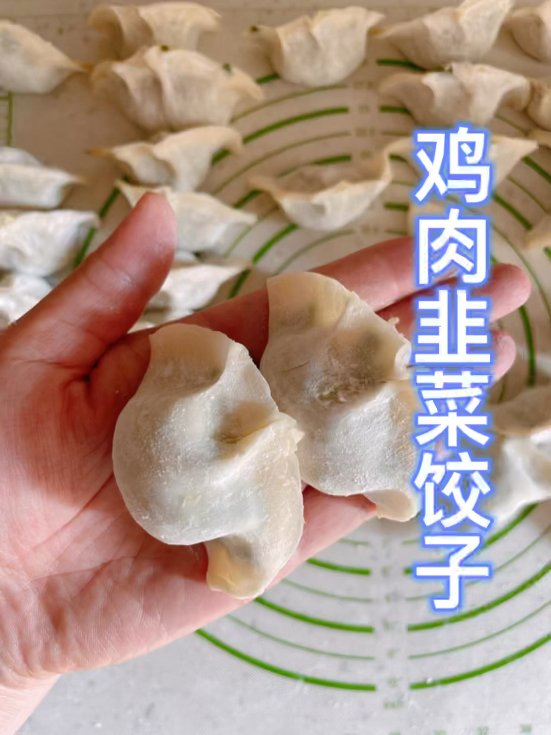 忙在厨房丨鸡肉韭菜饺子