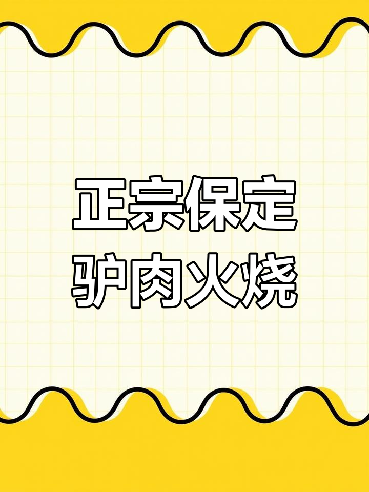 保定严家驴肉火烧,外焦里嫩的完美口感