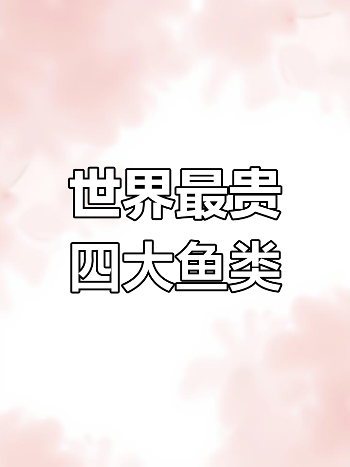 世界上最贵的四种鱼,看看你吃过几种?