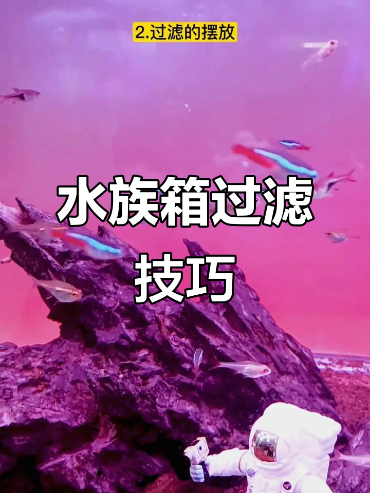 鱼缸过滤材料摆放有诀窍,选对滤材才能保持水质清澈