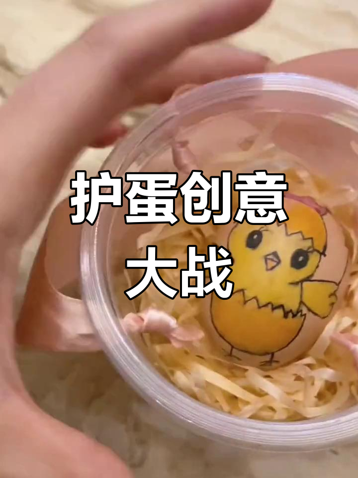 感恩节护蛋大作战,创意材料打造温馨鸡蛋窝