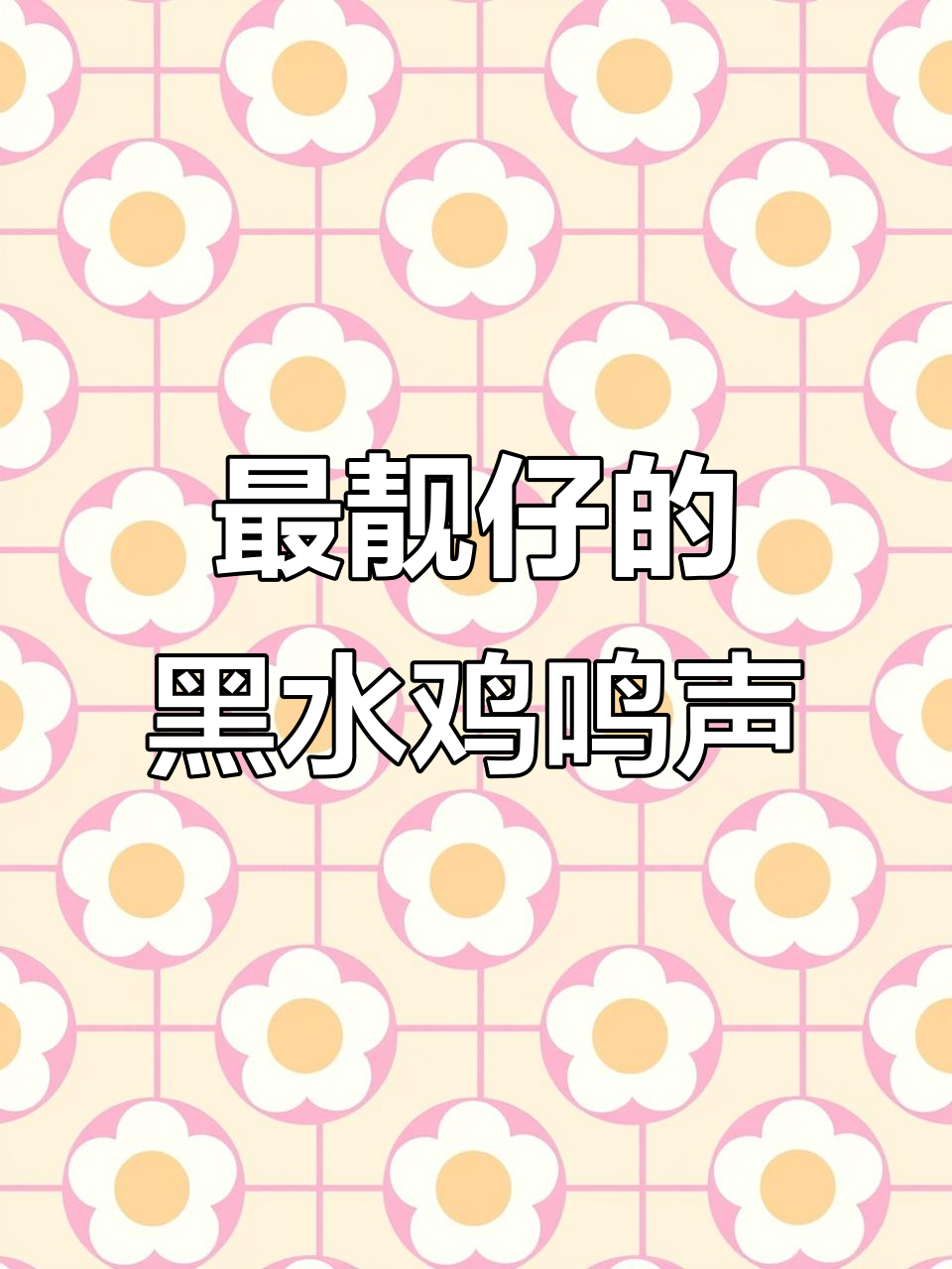 今年最炫酷的鸟叫声,带你感受大自然的魅力