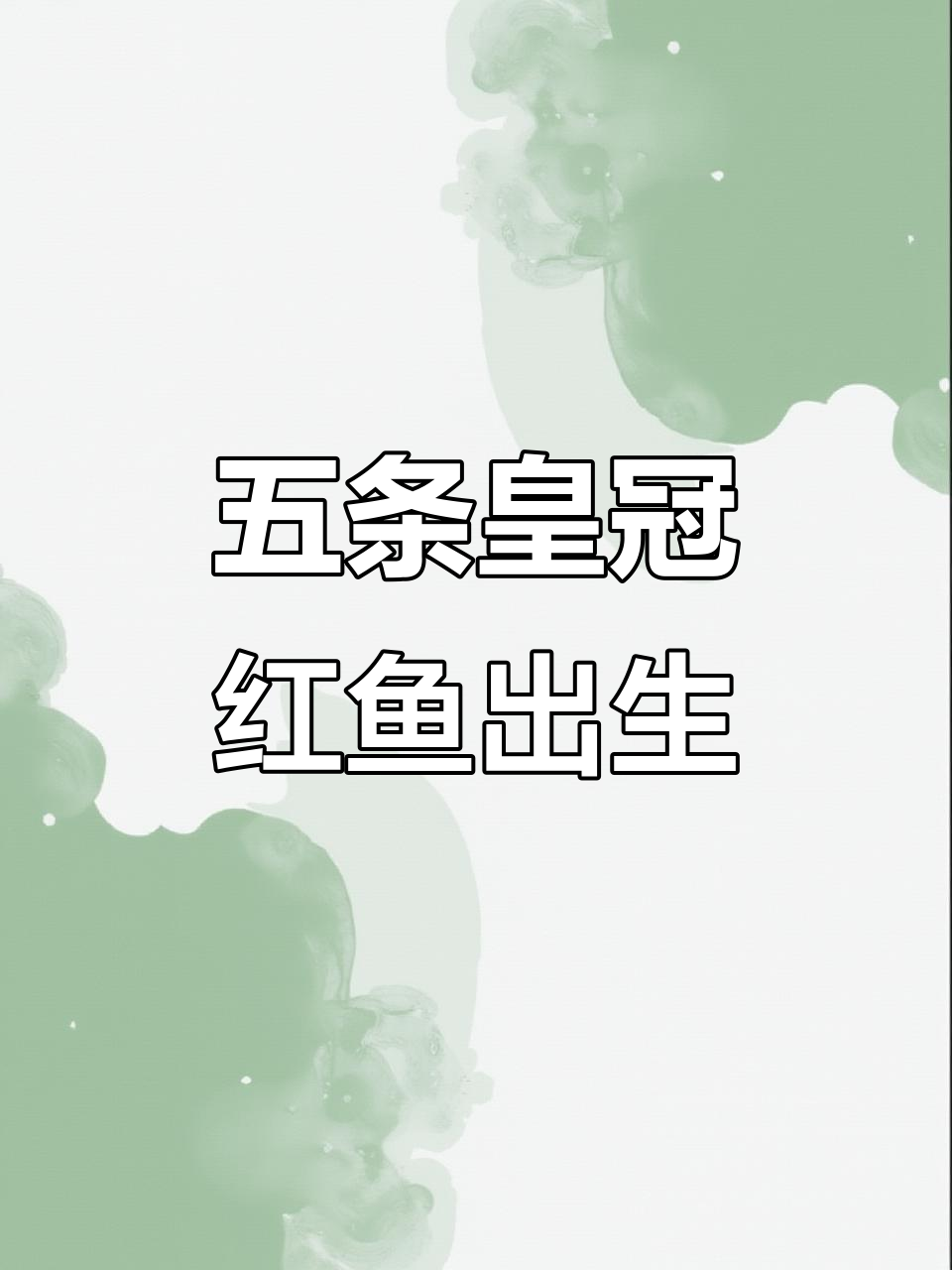 连续两胎五条精品皇冠魟鱼,公母比例完美