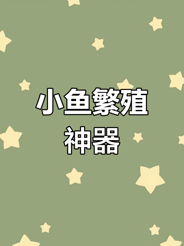 自制小鱼盒,空间大又透气,收纳方便,超实用!