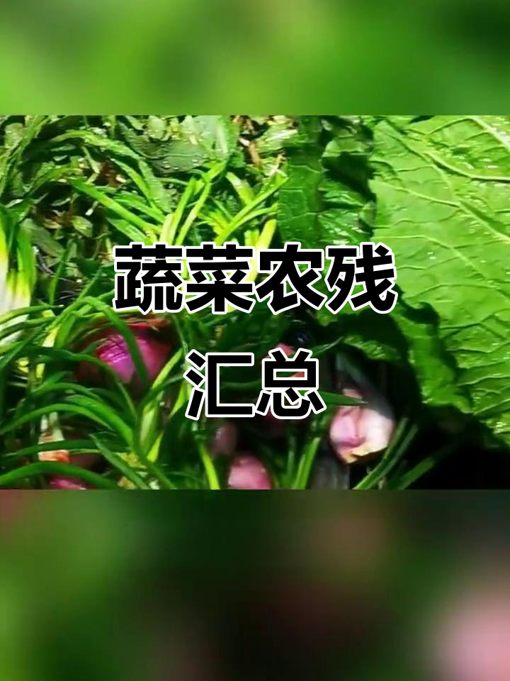 蔬菜农药残留大揭秘:哪些菜最容易超标?