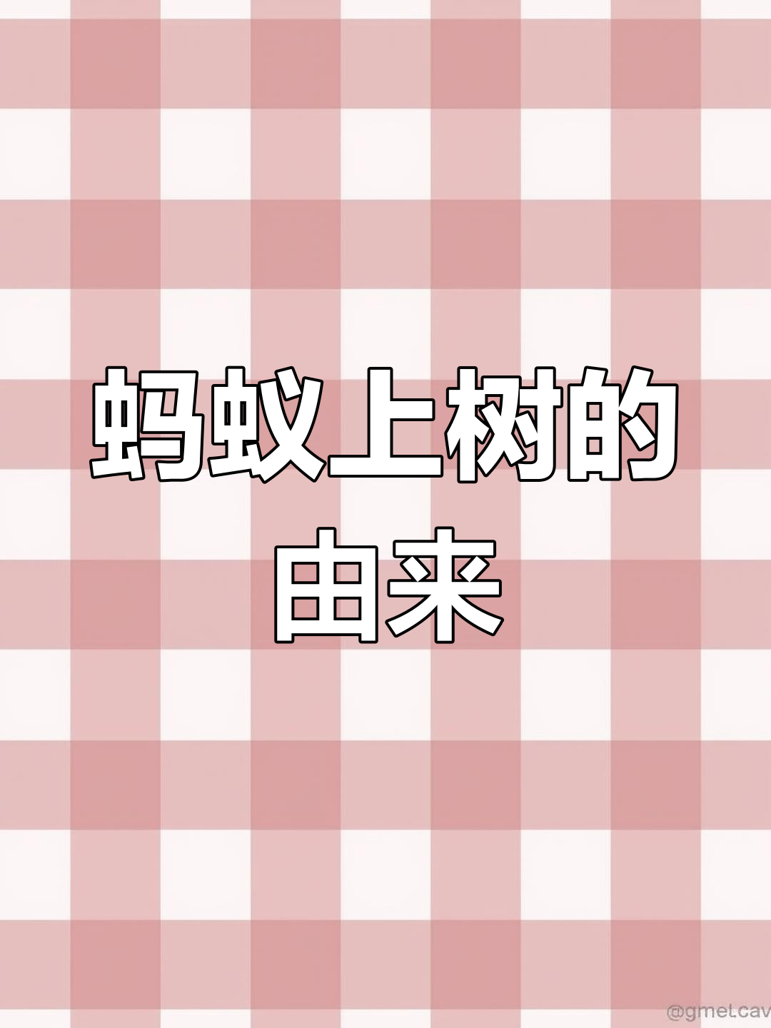 蚂蚁上树背后的故事,四川传统家常菜揭秘