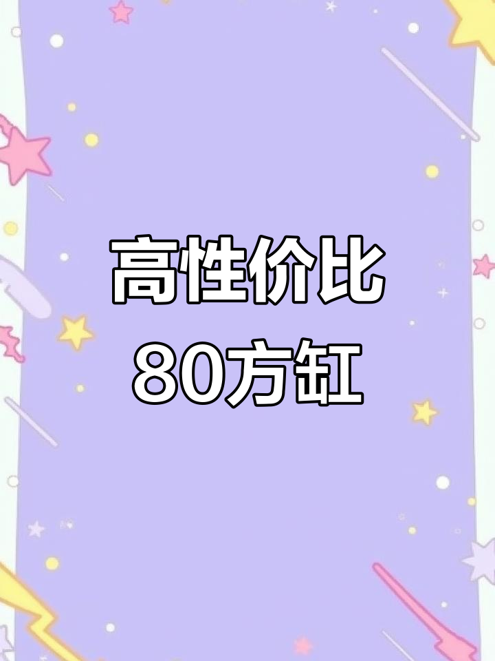 80方缸全解析：蓝寿金鱼与高效过滤系统完美结合